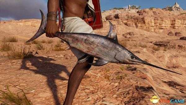 刺客信条起源古怪组合包内容一览