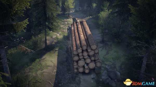 旋转轮胎进游戏车子动不了怎么解决