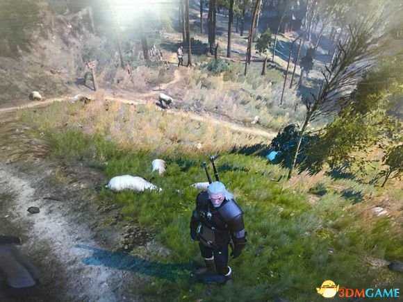 巫师3林中夫人任务简单刷钱地点介绍