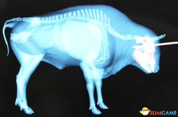 猎人荒野的呼唤个动物秒杀位置介绍