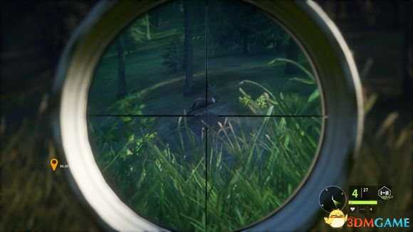 猎人荒野的呼唤个人狩猎套路技巧