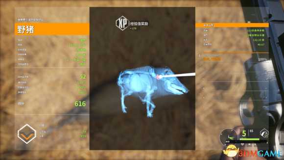 猎人荒野的呼唤全16种动物一击必杀一览