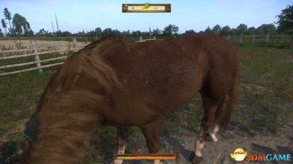 天国拯救全趣味彩蛋介绍 天国拯救有哪些彩蛋