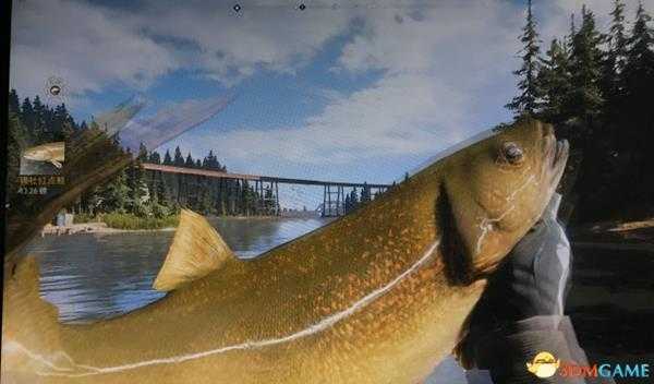 孤岛惊魂5钓鱼图文攻略