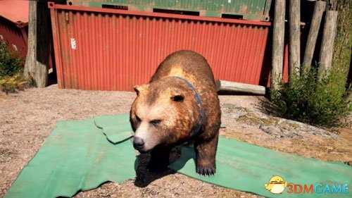 孤岛惊魂5灰熊皮获得方法 如何获得灰熊皮毛