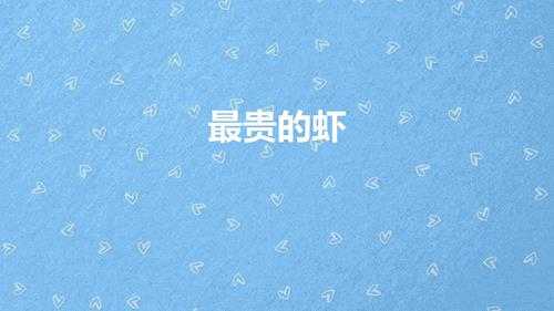 最贵的虾是什么品种(最贵的虾叫什么虾多少钱一只)