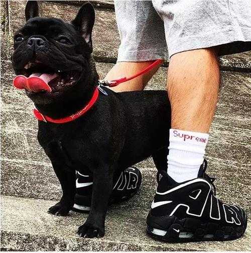 air是什么牌子的鞋(耐克air款式新颖,非常好看)