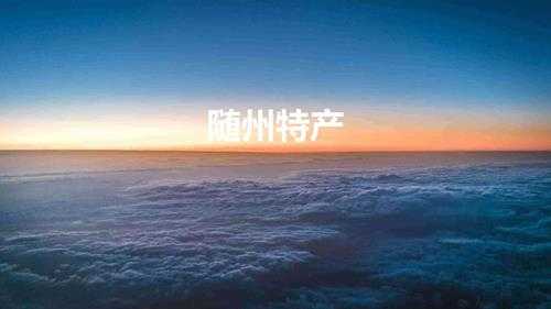 随州特产(湖北随州最著名的六大特色美食)