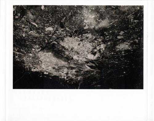 林宥嘉.2011-美妙生活(引进版)【华研国际】【WAV+CUE】