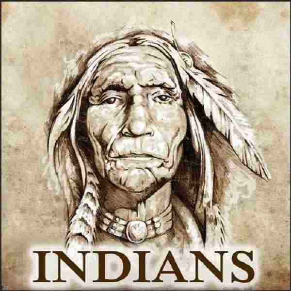 【原住部落音乐】IndianCalling-2013-Indians(FLAC)
