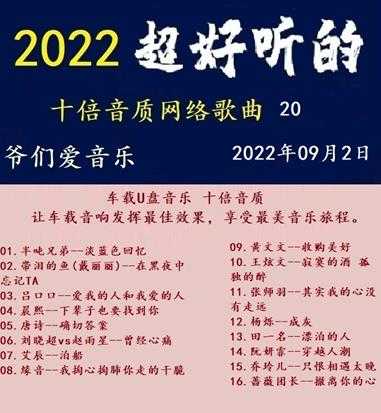 群星《2022超好听的十倍音质网络歌曲(20)》WAV分轨