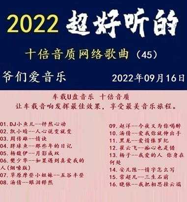 群星《2022超好听的十倍音质网络歌曲(45)》WAV分轨