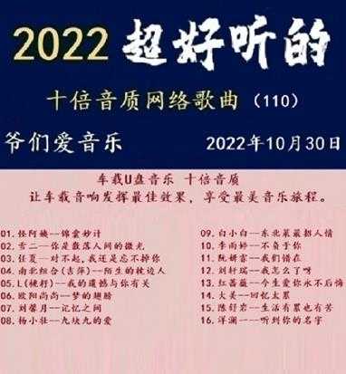 群星《2022超好听的十倍音质网络歌曲(110)》WAV分轨
