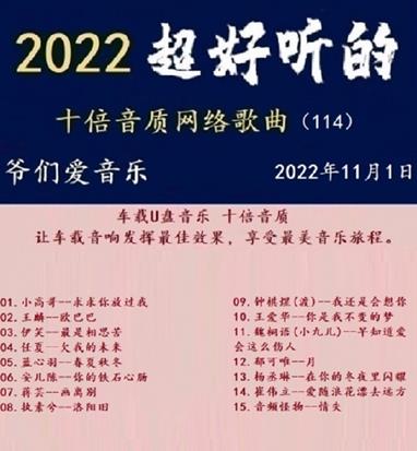 群星《2022超好听的十倍音质网络歌曲(114)》WAV分轨