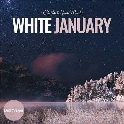【休闲沙发】VA-2023-WhiteJanuary:ChilloutYourMind(FLAC)