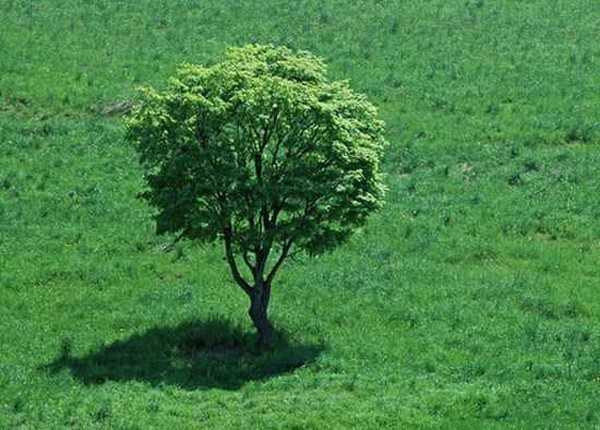 PS照片合成:神秘的Apple