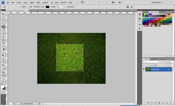 ps偏移(Offset)命令打造无缝拼接图案效果