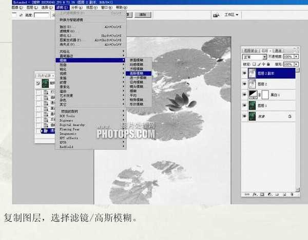 Photoshop将普通的荷叶图转成经典水墨画效果