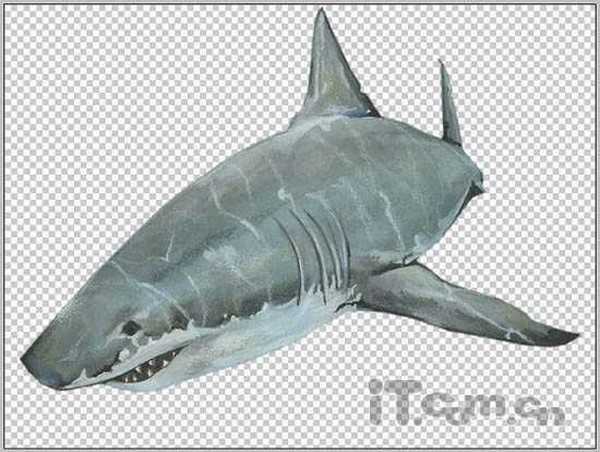 PS合成3D画:从相框当中冲出的鲨鱼