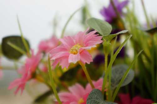 摄影爱好者必看:N个让你狂省万元的摄影妙招 何须买牛头?