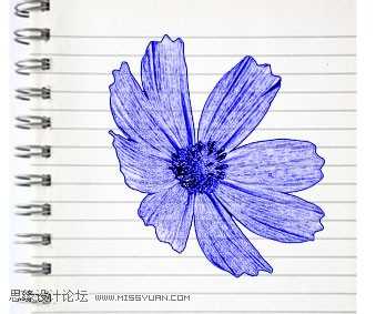 Photoshop简单制作逼真漂亮的蓝色圆珠笔手绘花朵效果图