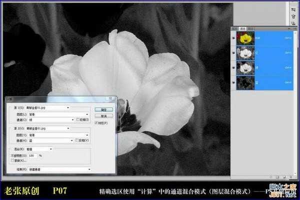 Photoshop通过计算命令无限改变花的颜色图文教程
