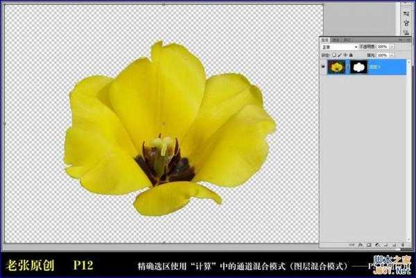 Photoshop通过计算命令无限改变花的颜色图文教程