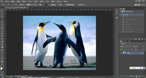 PS一分钟把彩色企鹅图片转化为黑白铅笔画