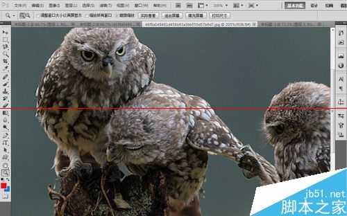 ps中如何缩放图片大小?PS中快速缩放界面大小的三种教程
