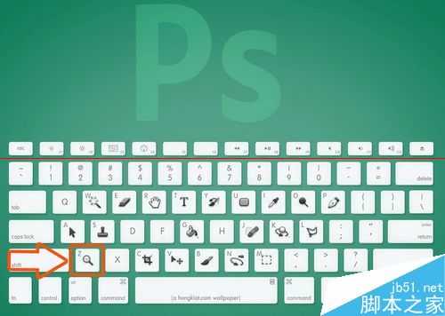 ps中如何缩放图片大小?PS中快速缩放界面大小的三种教程