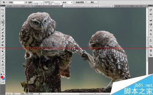 ps中如何缩放图片大小?PS中快速缩放界面大小的三种教程