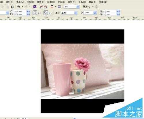 coreldraw如何裁剪? cdr快速裁剪图片的三种方法