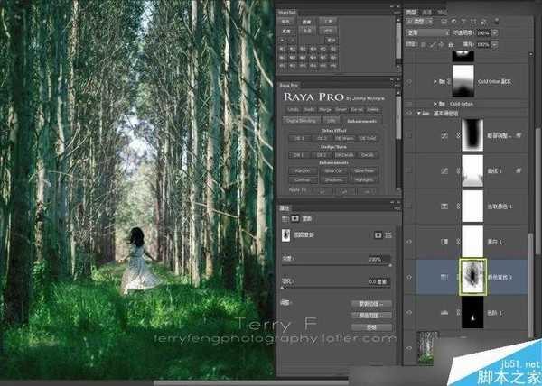 Photoshop给森林照片添加唯美的丁达尔光效(耶稣光)