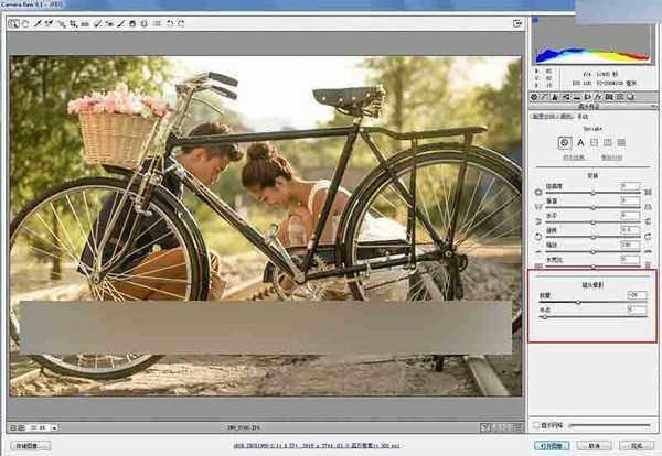 Photoshop调出外景婚纱照复古小清晰效果图