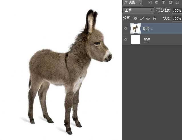 PS教程:制作有趣的放大镜扫视小毛驴图片动画效果教程