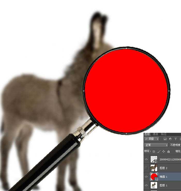 PS教程:制作有趣的放大镜扫视小毛驴图片动画效果教程