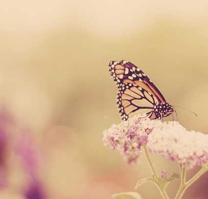 PS新手教程:三种图片快速调色法