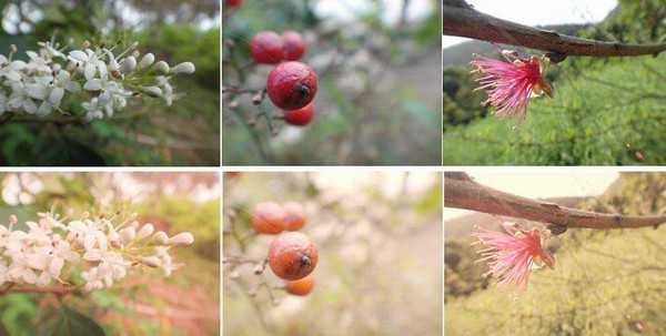 PS新手教程:三种图片快速调色法