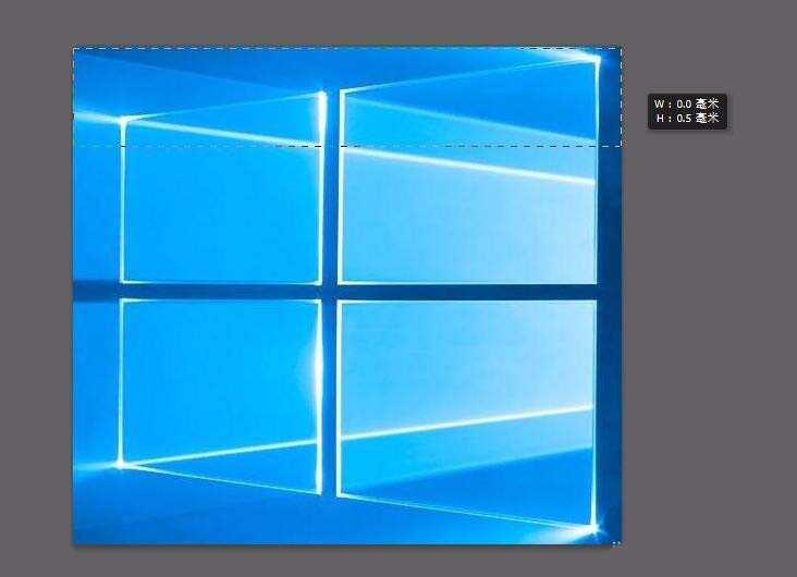 ps怎么设置选区单位为毫米? ps毫米选取图像的教程