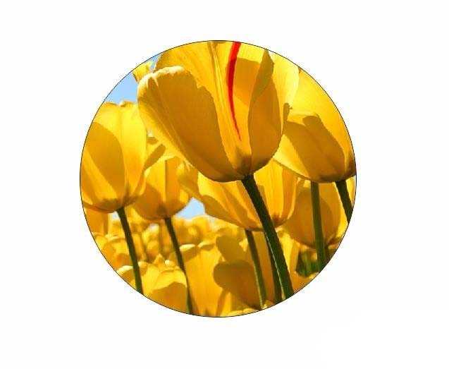 cdrX8中PowerClip怎么使用? PowerClip功能的三种使用方法