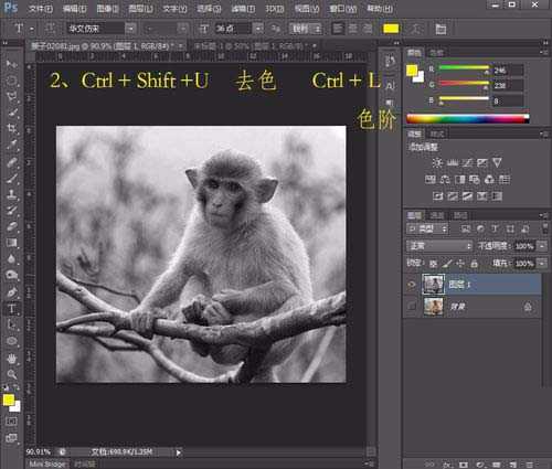 ps怎样把一只可爱的小猴子照片转成素描效果?
