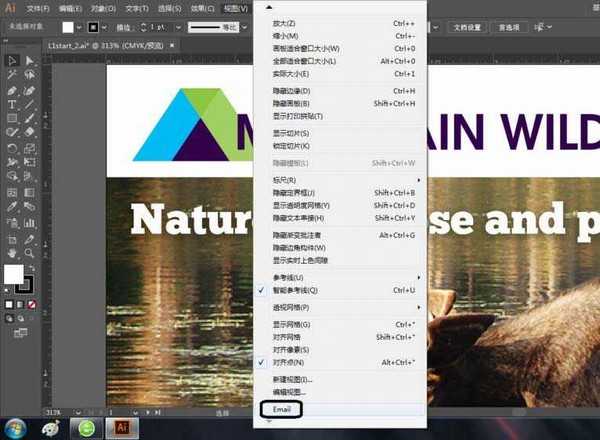 ai怎么查看图稿? ai创建自定义视图的方法