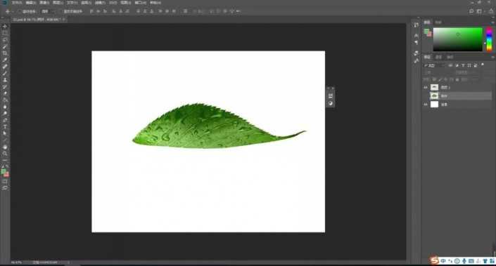 教你用PS制作创意树叶剪影 如何用ps制作绿色树叶剪影