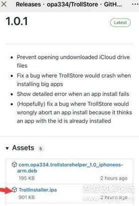 iOS15.1 TrollStore 已发布，永久不掉签